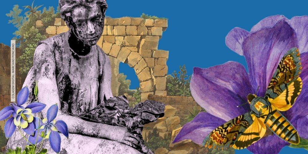 A IGUALDADE DEBAIXO DA TERRA