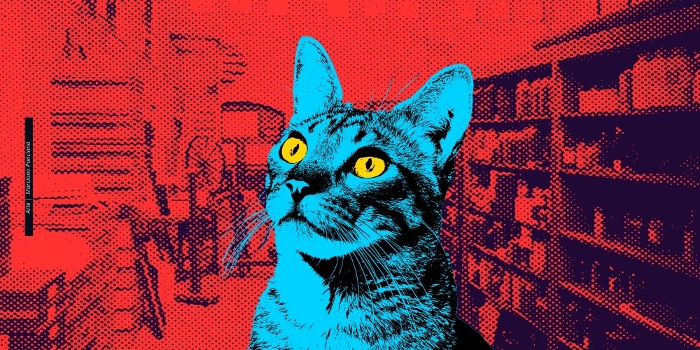O GATO