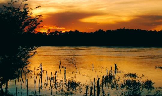 ENTREVISTA | EDUCAÇÃO AMBIENTAL NOS MANGUES DE ARACATI