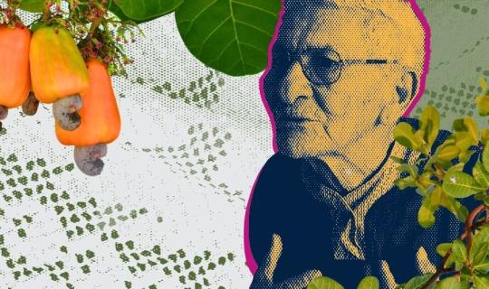 LABIRINTO: HISTÓRIA E ESTÓRIAS