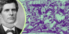 Eduardo Francisco Nogueira Angelim