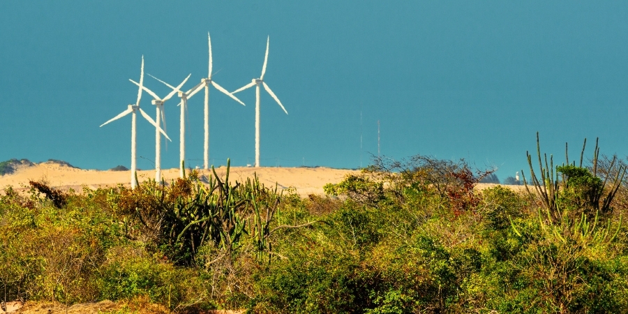 IARACATI| “O APAGÃO DAS DUNAS”: MORADORES DO CUMBE E OS PRIMEIROS ALERTAS